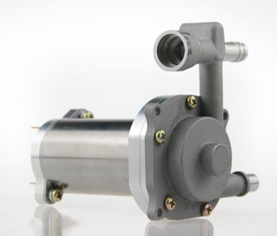 Bidirectional pressurized vortex pump (RV)