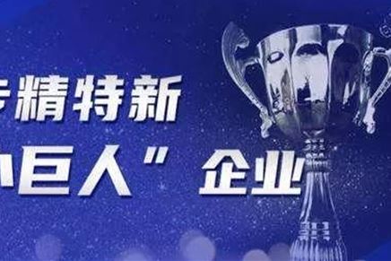 公司获江苏省“专精特新小巨人”荣誉称号