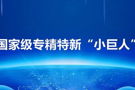 我司荣获“专精特新小巨人”荣誉称号，彰显创新实力与卓越品质