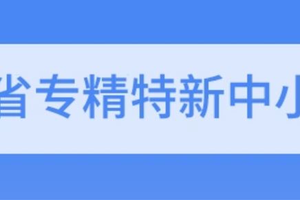 我司通过2021年度省级专精特新中小企业复核