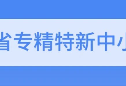 我司通过2021年度省级专精特新中小企业复核